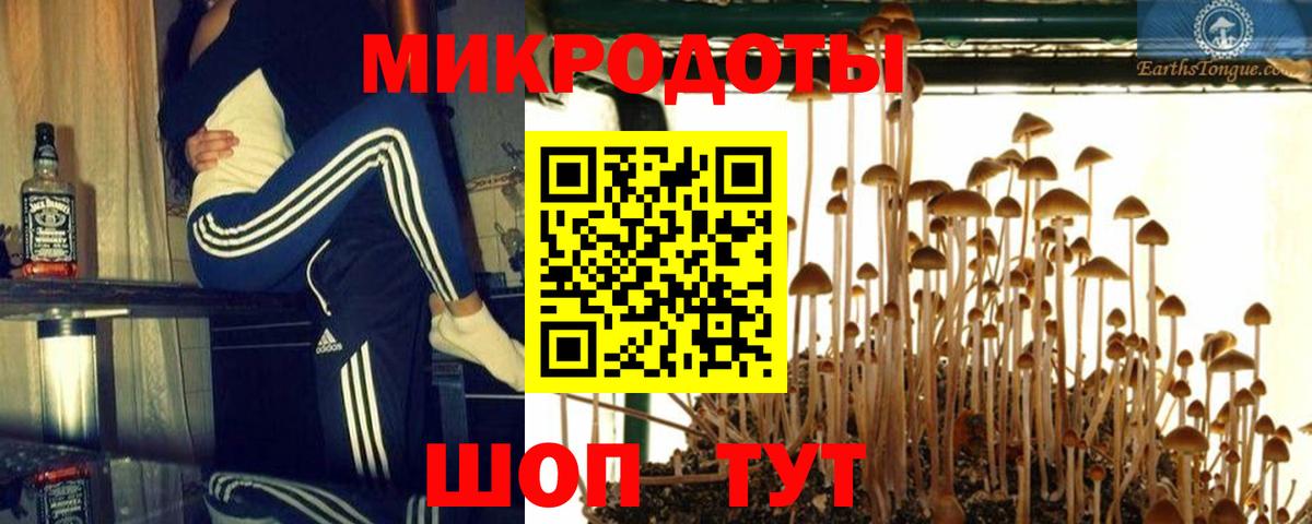 Барнаул  Псилоцибиновые грибы ЛСД  Галлюциногенные грибы Psilocybine cubensis  Вход с VPN 