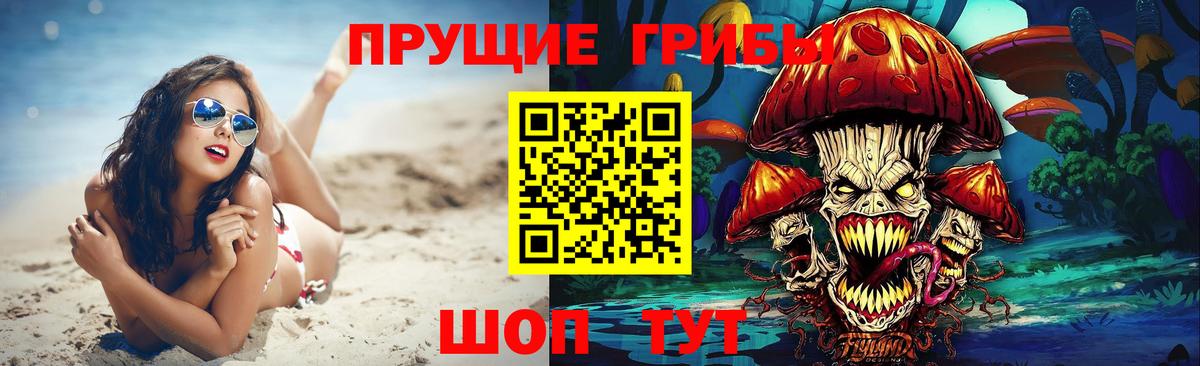Псилоцибиновые грибы GOLDEN TEACHER Барнаул